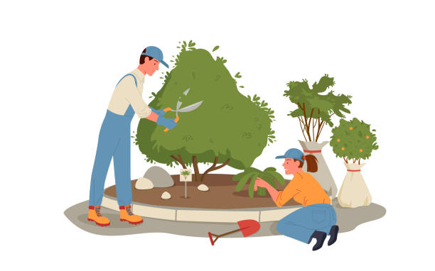 Landscaping Designers